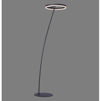 Paul Neuhaus 381-13 - Lámpara de pie LED regulable TITUS LED/19,5W/230V