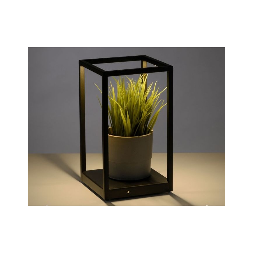 Paul Neuhaus 4401-18 - Lámpara de mesa LED regulable CONTURA 2xLED/2,2W/230V