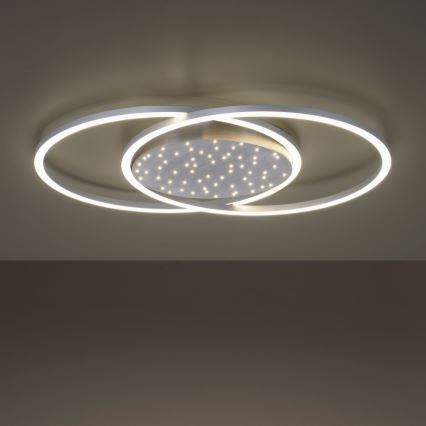 Paul Neuhaus 6025-55 - Plafón LED regulable YUKI LED/48W/230V + mando a distancia