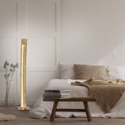 Paul Neuhaus 603-12 - Lámpara de pie LED NEVIS LED/27W/230V