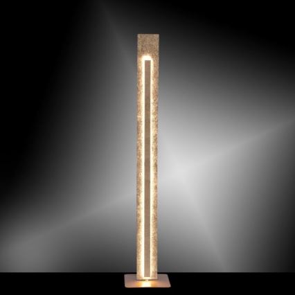 Paul Neuhaus 603-12 - Lámpara de pie LED NEVIS LED/27W/230V