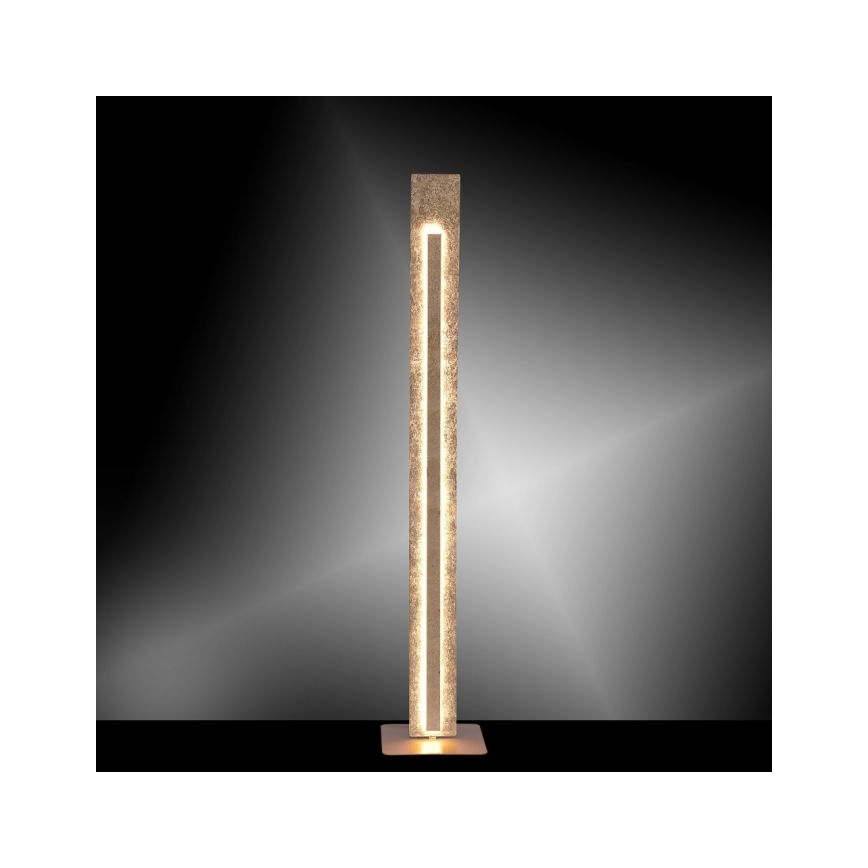 Paul Neuhaus 603-12 - Lámpara de pie LED NEVIS LED/27W/230V