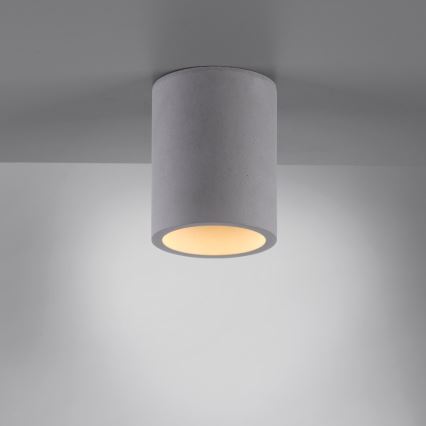 Paul Neuhaus 6160-22 - Foco ETON 1xGU10/10W/230V