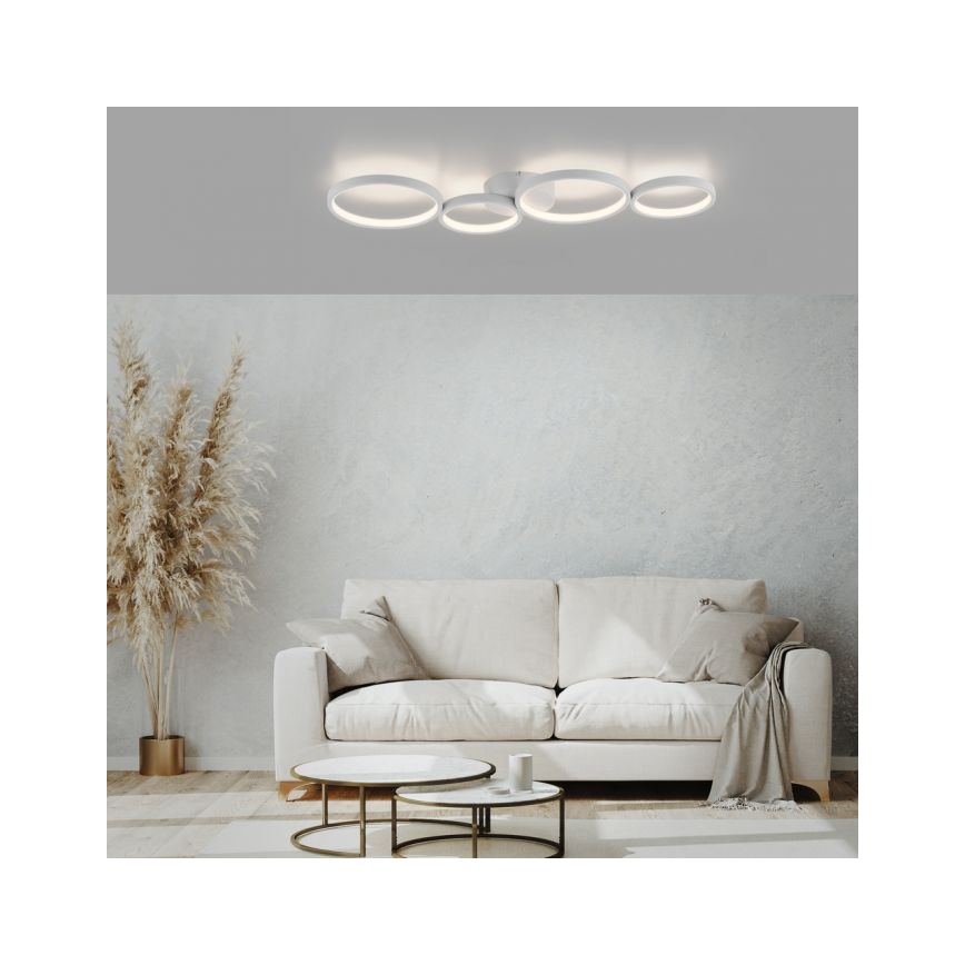 Paul Neuhaus 6183-16 - Plafón LED regulable KIRINGE LED/26W/230V