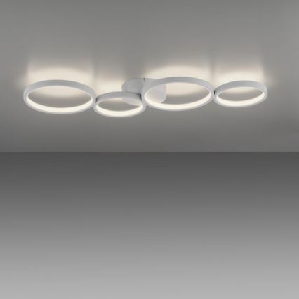 Paul Neuhaus 6183-16 - Plafón LED regulable KIRINGE LED/26W/230V