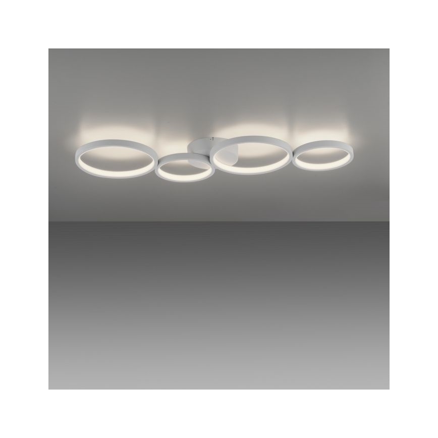 Paul Neuhaus 6183-16 - Plafón LED regulable KIRINGE LED/26W/230V