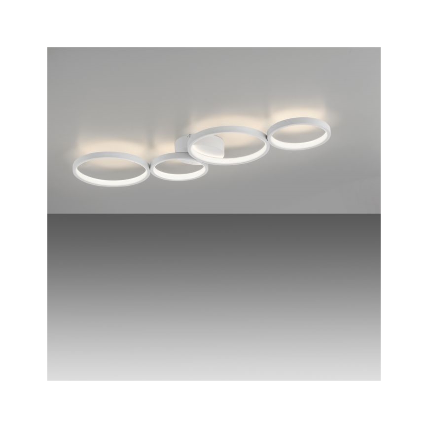 Paul Neuhaus 6183-16 - Plafón LED regulable KIRINGE LED/26W/230V