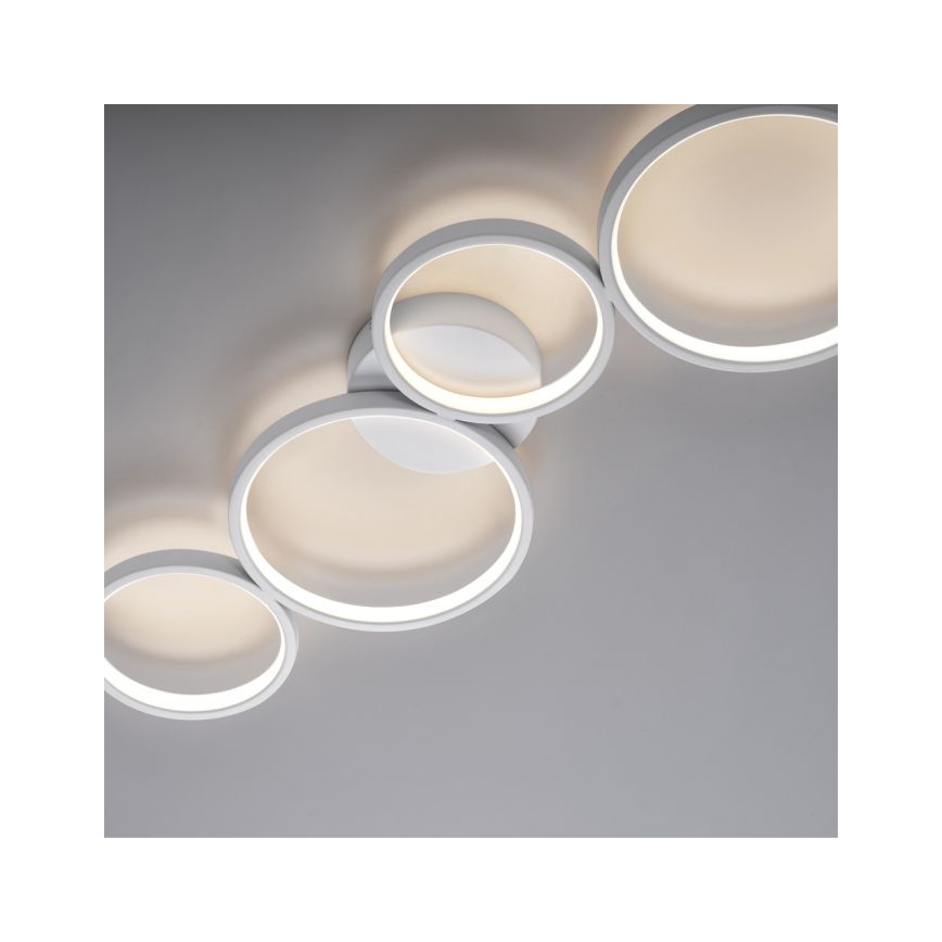 Paul Neuhaus 6183-16 - Plafón LED regulable KIRINGE LED/26W/230V