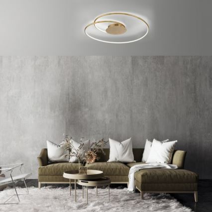 Paul Neuhaus 6189-12 - Plafón LED regulable NASTRO LED/26W/230V