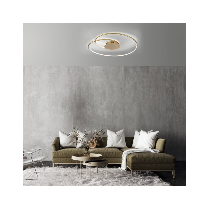 Paul Neuhaus 6189-12 - Plafón LED regulable NASTRO LED/26W/230V