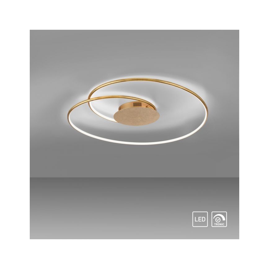 Paul Neuhaus 6189-12 - Plafón LED regulable NASTRO LED/26W/230V