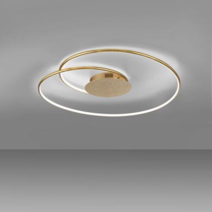 Paul Neuhaus 6189-12 - Plafón LED regulable NASTRO LED/26W/230V