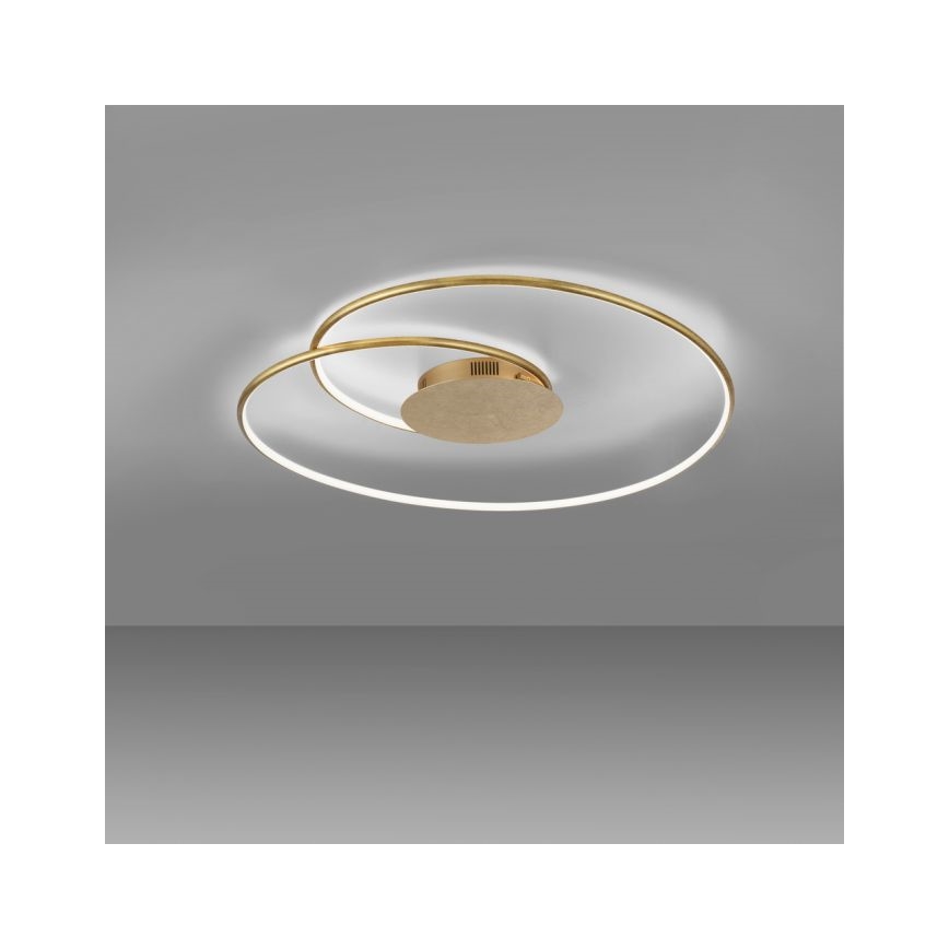 Paul Neuhaus 6189-12 - Plafón LED regulable NASTRO LED/26W/230V