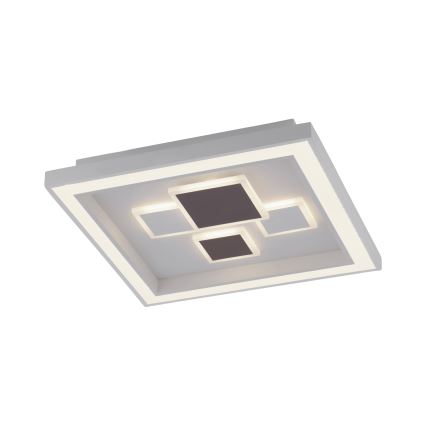 Paul Neuhaus 6283-16 - LED Plafón regulable ELIZA LED/30W/230V + LED/18,5W