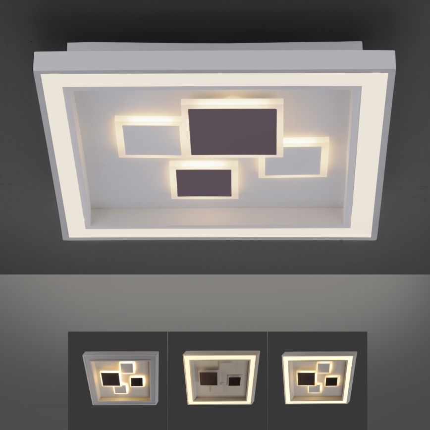 Paul Neuhaus 6283-16 - LED Plafón regulable ELIZA LED/30W/230V + LED/18,5W