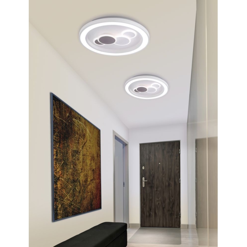 Paul Neuhaus 6284-16 - Plafón LED ELIZA LED/55,5W/230V diá. 60 cm