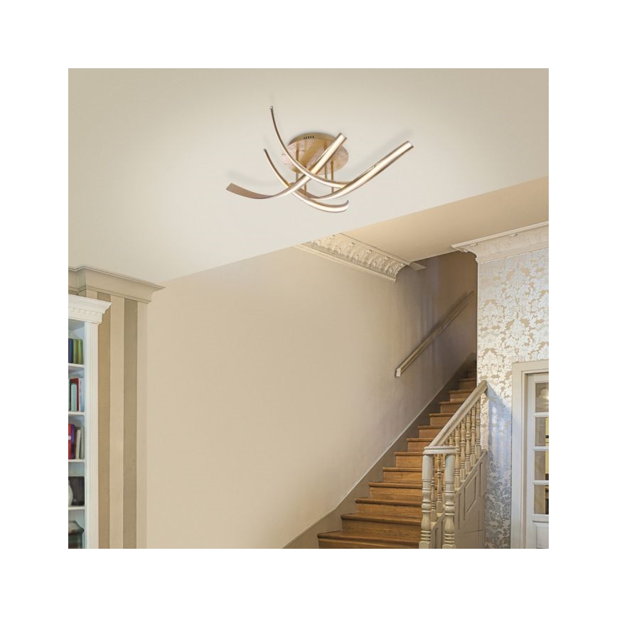 Paul Neuhaus 6474-12 - Lámpara de techo LED regulable LINDA 4xLED/7W/230V