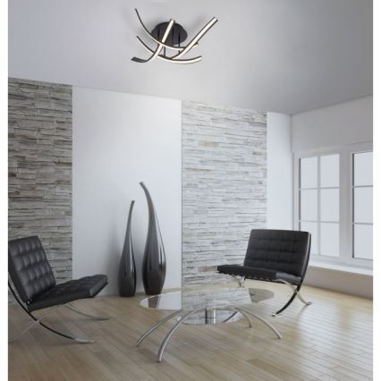 Paul Neuhaus 6474-48 - Lámpara de techo LED regulable LINDA 4xLED/7W/230V