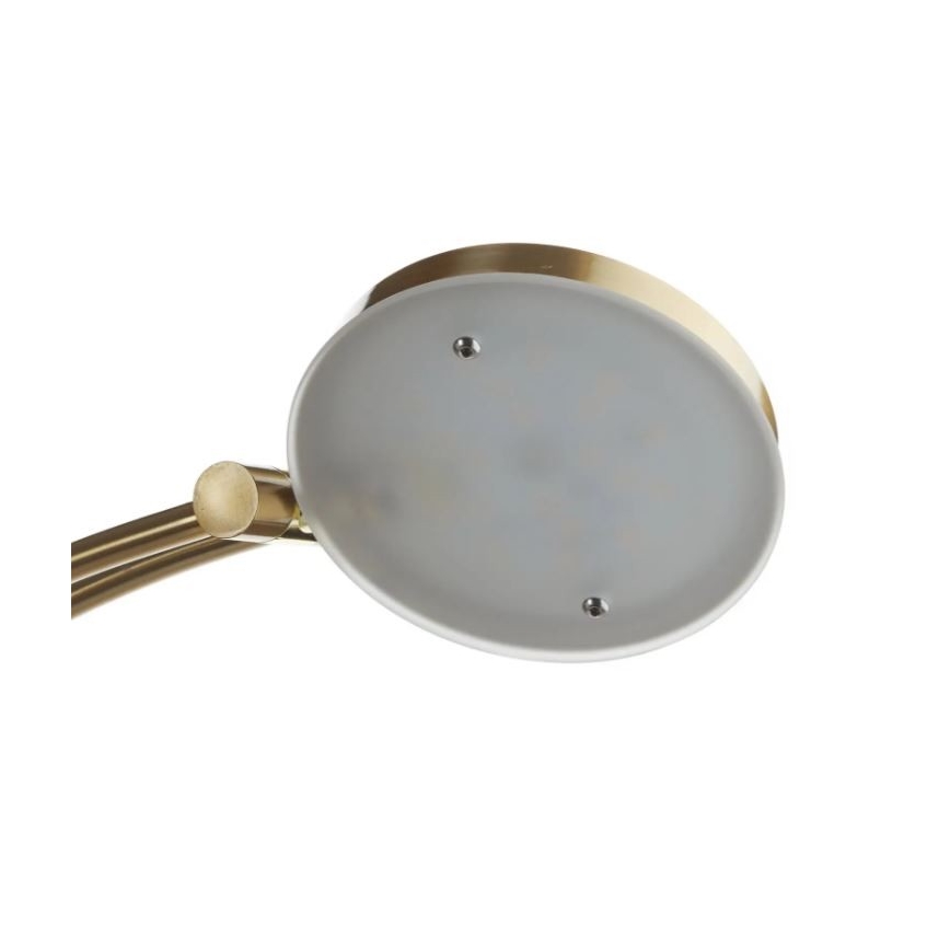 Paul Neuhaus 655-60 - Lámpara de pie LED regulable ALFRED LED/28W/230V+LED/4W/230V latón