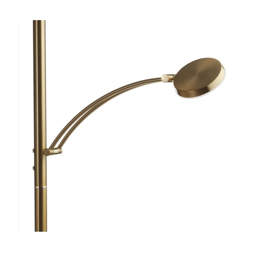 Paul Neuhaus 655-60 - Lámpara de pie LED regulable ALFRED LED/28W/230V+LED/4W/230V latón