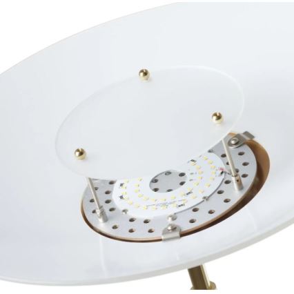 Paul Neuhaus 655-60 - Lámpara de pie LED regulable ALFRED LED/28W/230V+LED/4W/230V latón