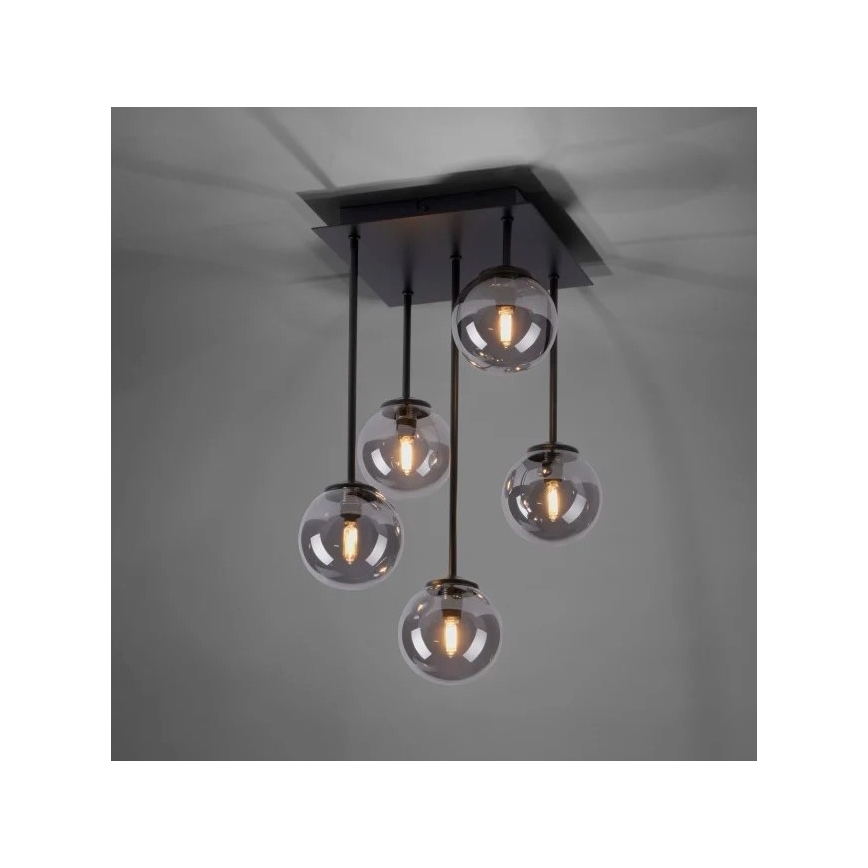Paul Neuhaus 6719-18 - Lámpara de araña LED WIDOW 5xG9/3W/230V