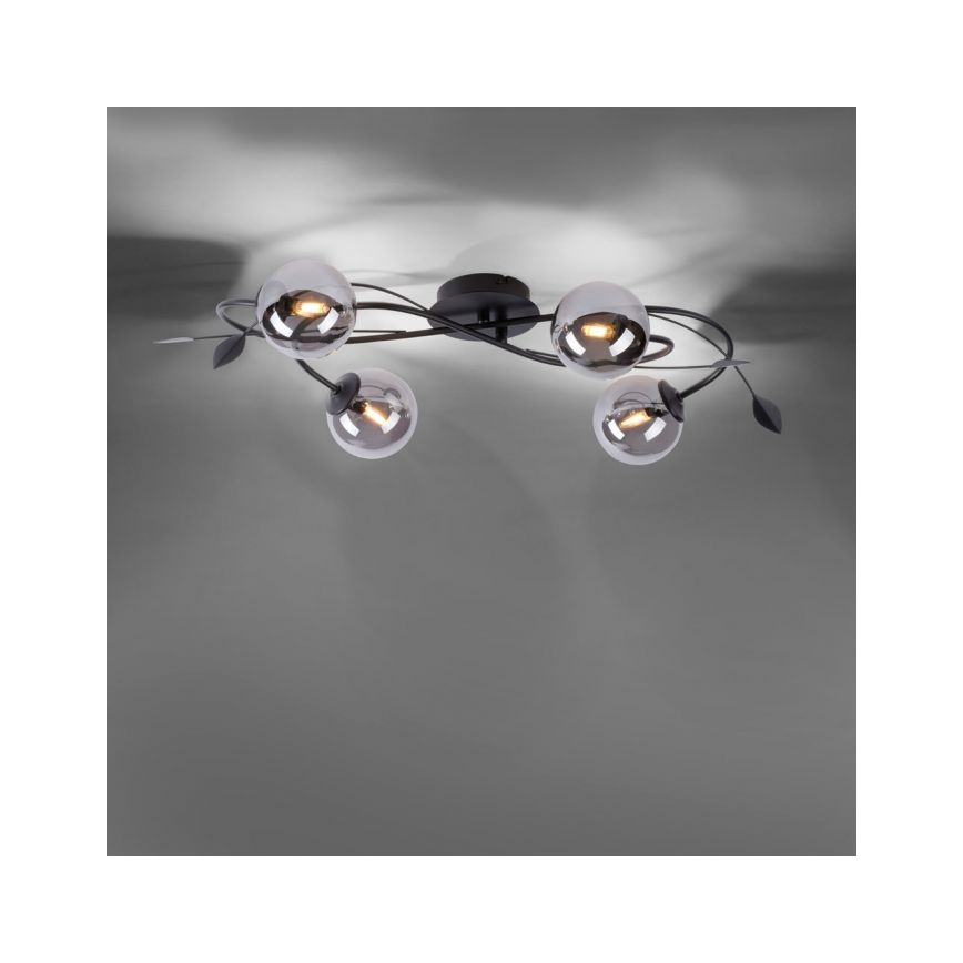 Paul Neuhaus 6724-18 - Lámpara de suspensión LED WIDOW 4xG9/3W/230V