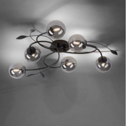 Paul Neuhaus 6737-18 - Lámpara de suspensión LED WIDOW 6xG9/3W/230V