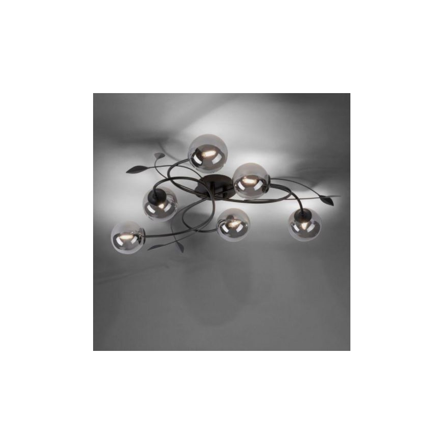 Paul Neuhaus 6737-18 - Lámpara de suspensión LED WIDOW 6xG9/3W/230V