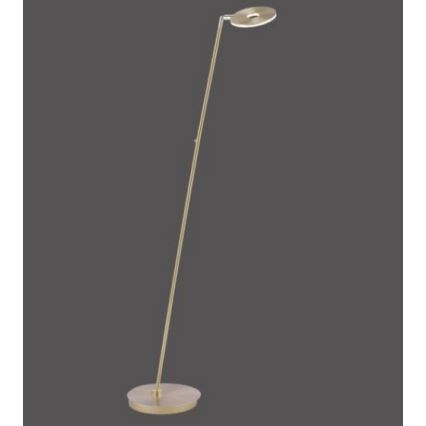 Paul Neuhaus 676-60 - Lámpara de pie LED táctil regulable MARTIN LED/13,5W/230V latón