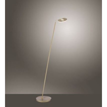 Paul Neuhaus 676-60 - Lámpara de pie LED táctil regulable MARTIN LED/13,5W/230V latón