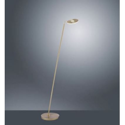 Paul Neuhaus 676-60 - Lámpara de pie LED táctil regulable MARTIN LED/13,5W/230V latón