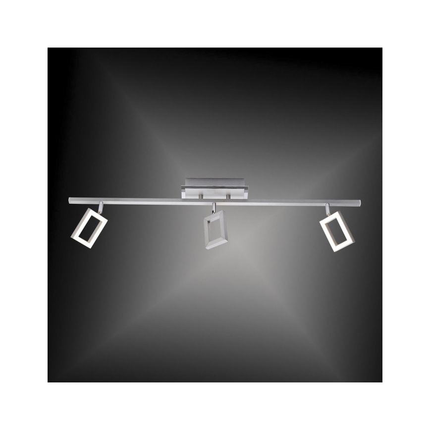 Paul Neuhaus 6959-55 - Foco LED INIGO 3xLED/4,2W/230V