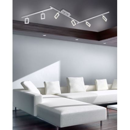 Paul Neuhaus 6965-55 - Foco LED regulable INIGO 6xLED/4W/230V
