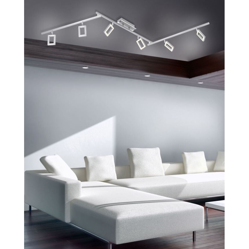 Paul Neuhaus 6965-55 - Foco LED regulable INIGO 6xLED/4W/230V
