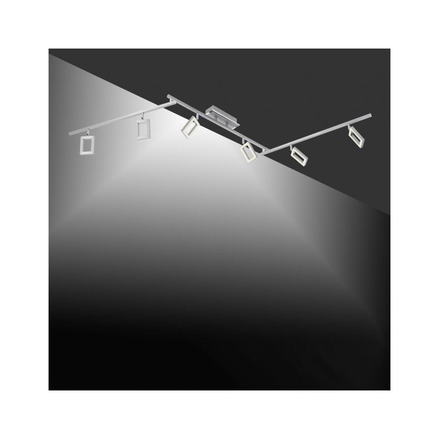 Paul Neuhaus 6965-55 - Foco LED regulable INIGO 6xLED/4W/230V