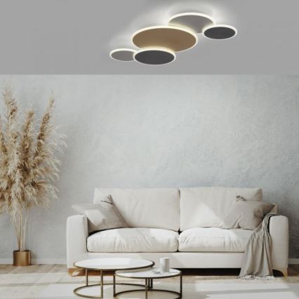 Paul Neuhaus 8008-70 - Plafón LED regulable Q-PIATO LED/49W/230V 2700-5000K Wi-Fi + control remoto