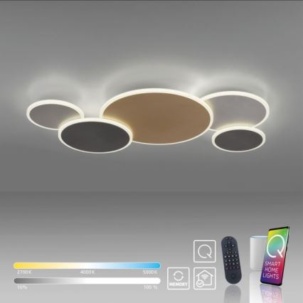Paul Neuhaus 8008-70 - Plafón LED regulable Q-PIATO LED/49W/230V 2700-5000K Wi-Fi + control remoto