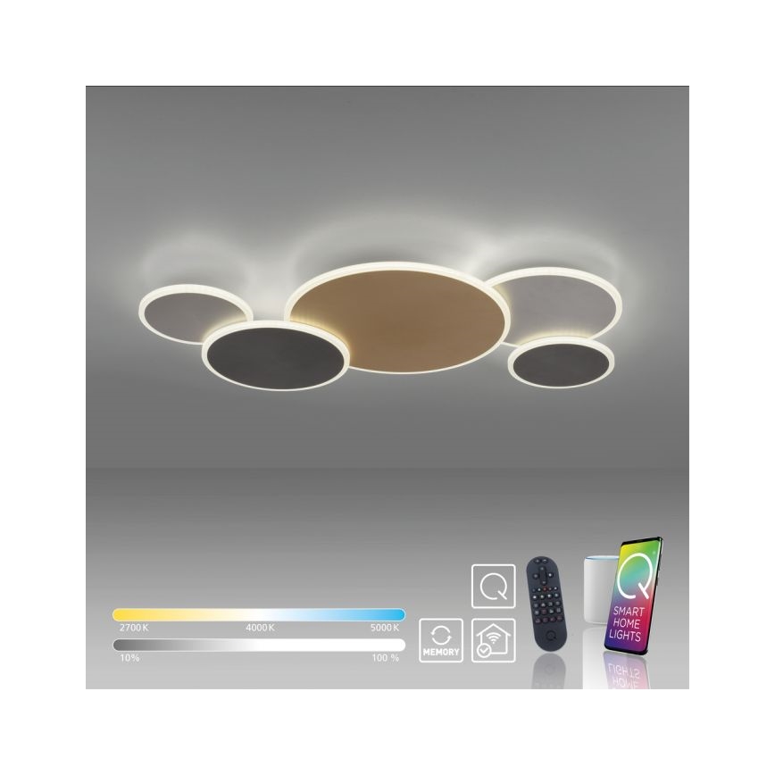 Paul Neuhaus 8008-70 - Plafón LED regulable Q-PIATO LED/49W/230V 2700-5000K Wi-Fi + control remoto