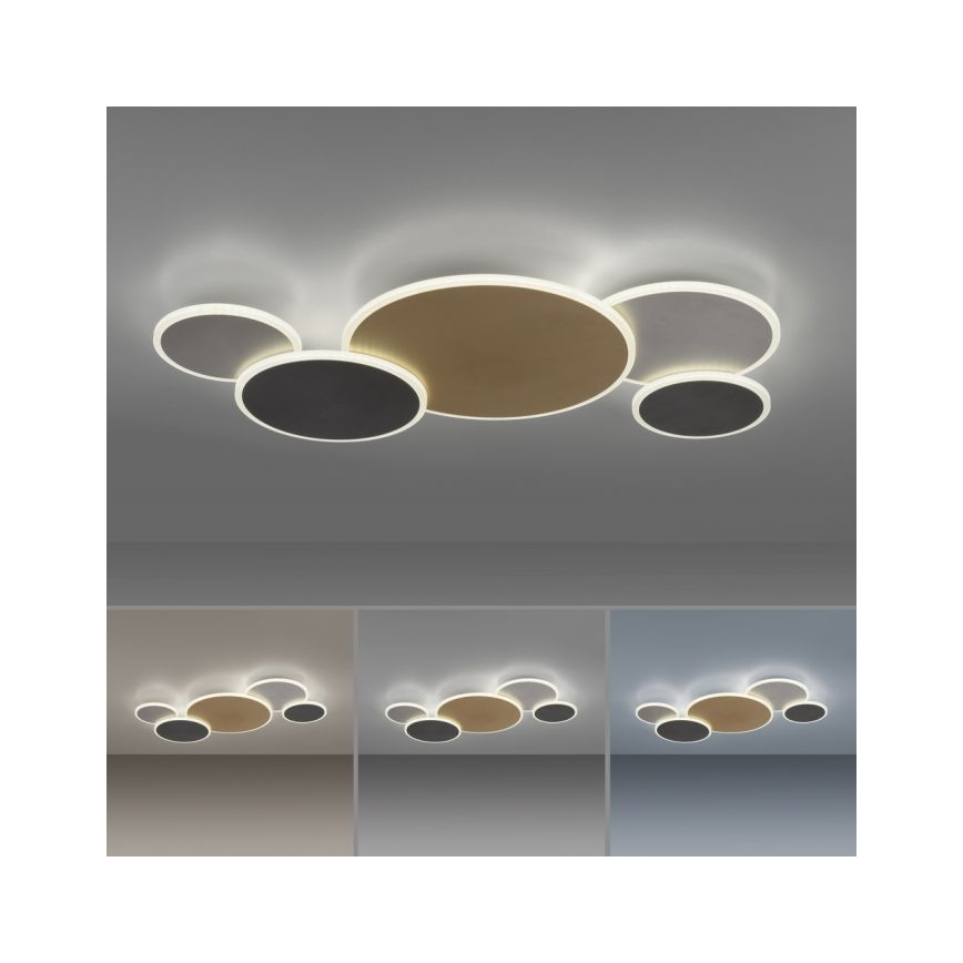 Paul Neuhaus 8008-70 - Plafón LED regulable Q-PIATO LED/49W/230V 2700-5000K Wi-Fi + control remoto