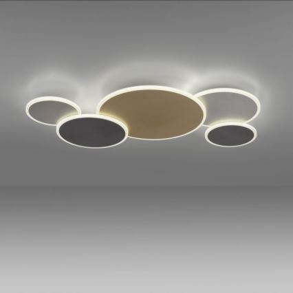 Paul Neuhaus 8008-70 - Plafón LED regulable Q-PIATO LED/49W/230V 2700-5000K Wi-Fi + control remoto