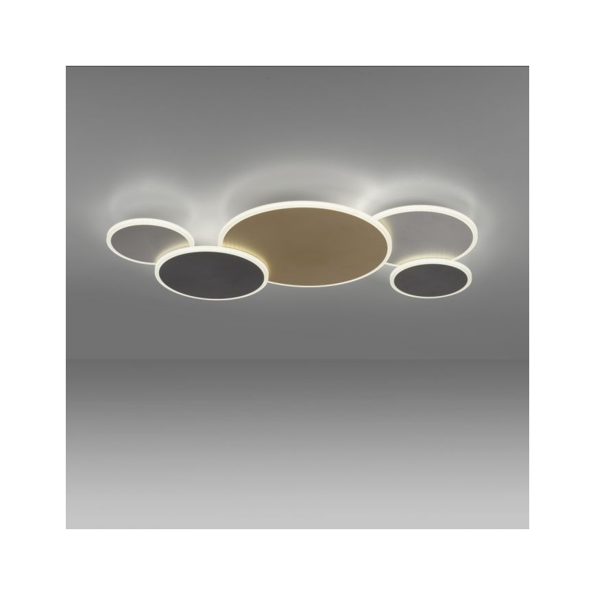 Paul Neuhaus 8008-70 - Plafón LED regulable Q-PIATO LED/49W/230V 2700-5000K Wi-Fi + control remoto