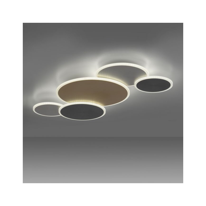 Paul Neuhaus 8008-70 - Plafón LED regulable Q-PIATO LED/49W/230V 2700-5000K Wi-Fi + control remoto