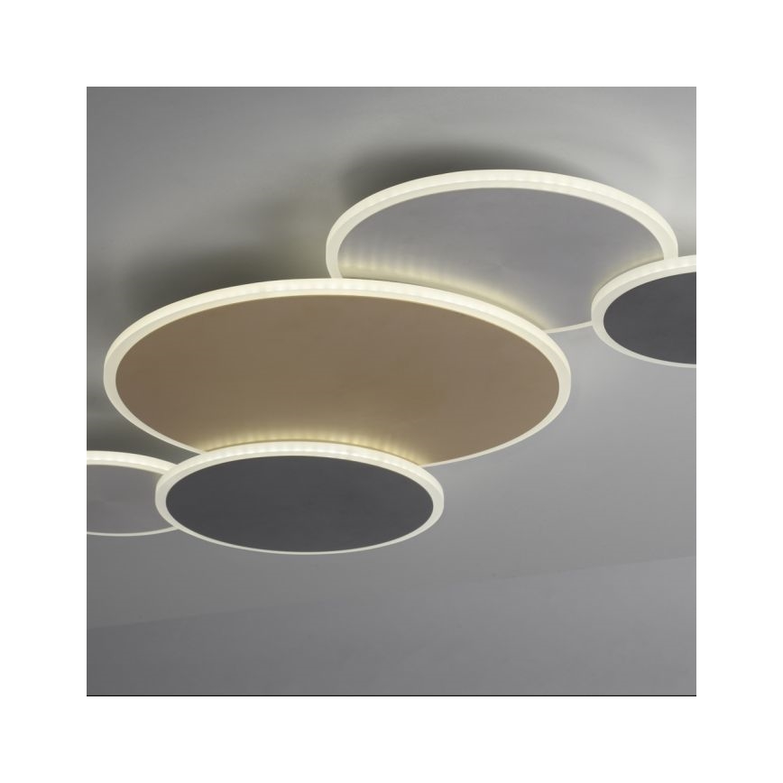 Paul Neuhaus 8008-70 - Plafón LED regulable Q-PIATO LED/49W/230V 2700-5000K Wi-Fi + control remoto