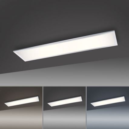 Paul Neuhaus 8112-17 - Panel de LEDs regulables con base   BANDERA LED/35W/230V