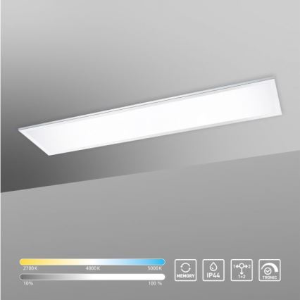 Paul Neuhaus 8112-17 - Panel de LEDs regulables con base   BANDERA LED/35W/230V