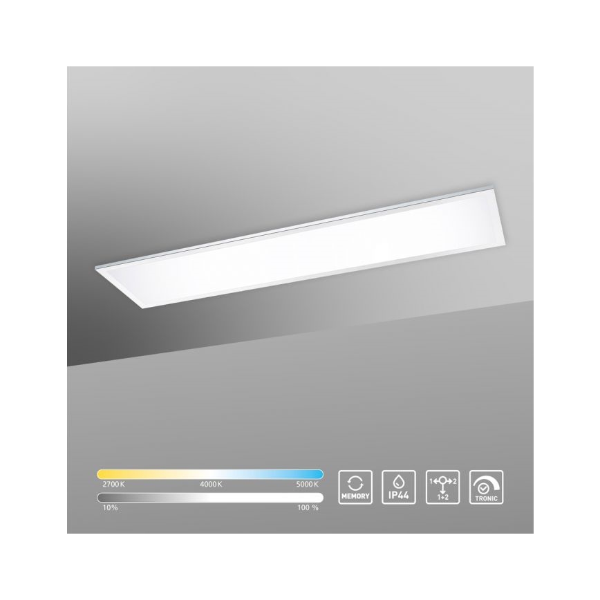 Paul Neuhaus 8112-17 - Panel de LEDs regulables con base   BANDERA LED/35W/230V