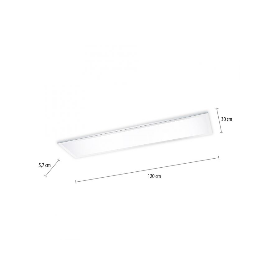 Paul Neuhaus 8112-17 - Panel de LEDs regulables con base   BANDERA LED/35W/230V