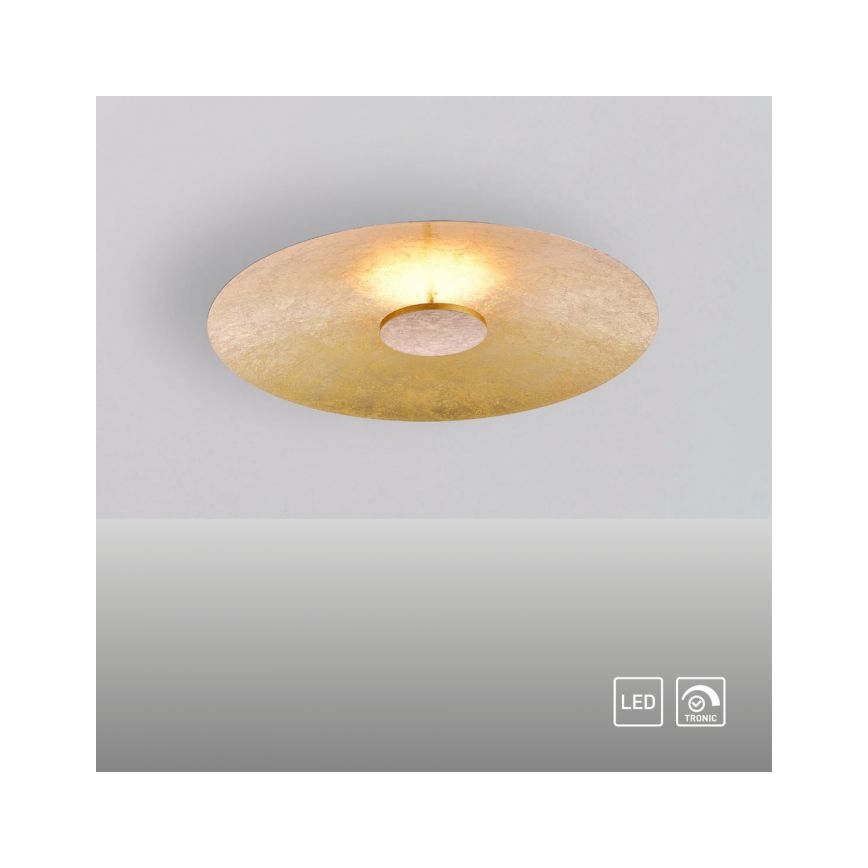 Paul Neuhaus 8132-12 - Plafón LED regulable PLATE LED/25W/230V