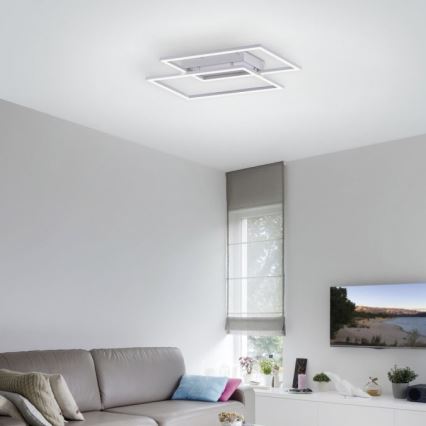Paul Neuhaus 8192-55 - Lámpara de techo LED regulable INIGO 2xLED/12W/230V